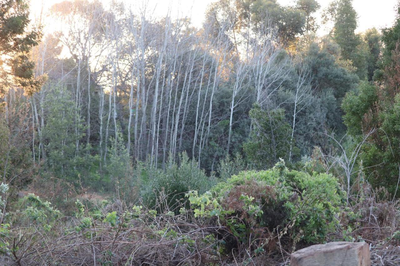 Highlands Eco Estate Hotel Piketberg Luaran gambar